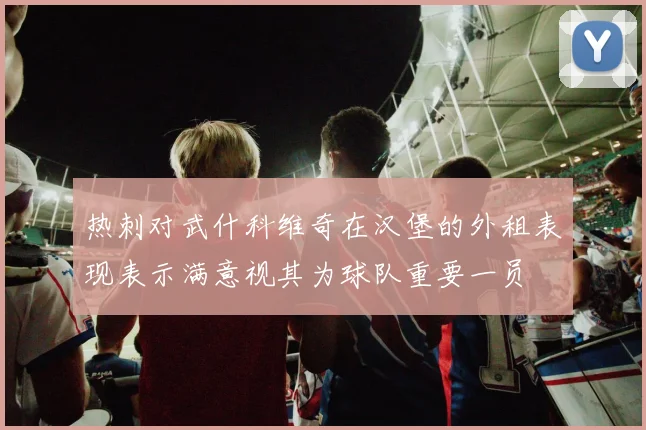 热刺对武什科维奇在汉堡的外租表现表示满意视其为球队重要一员