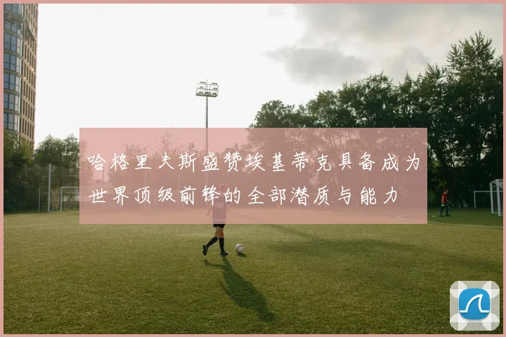 哈格里夫斯盛赞埃基蒂克具备成为世界顶级前锋的全部潜质与能力