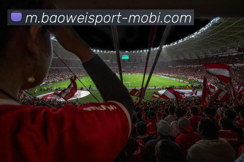 宝威体育APP 封面图